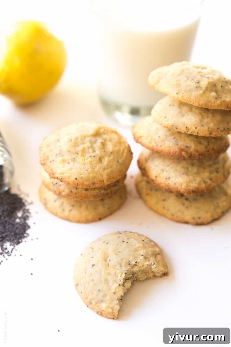 Zesty Lemon Poppy Seed Delights 3 Lemon Poppy Seed Cookies, a light and lemony sweet treat!