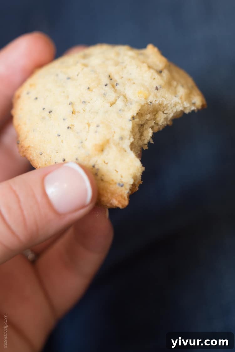 Zesty Lemon Poppy Seed Delights 4 Lemon Poppy Seed Cookies, a light and lemony sweet treat!