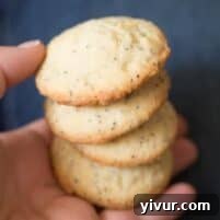 Zesty Lemon Poppy Seed Delights 5 Freshly baked Lemon Poppy Seed Cookies on a cooling rack.