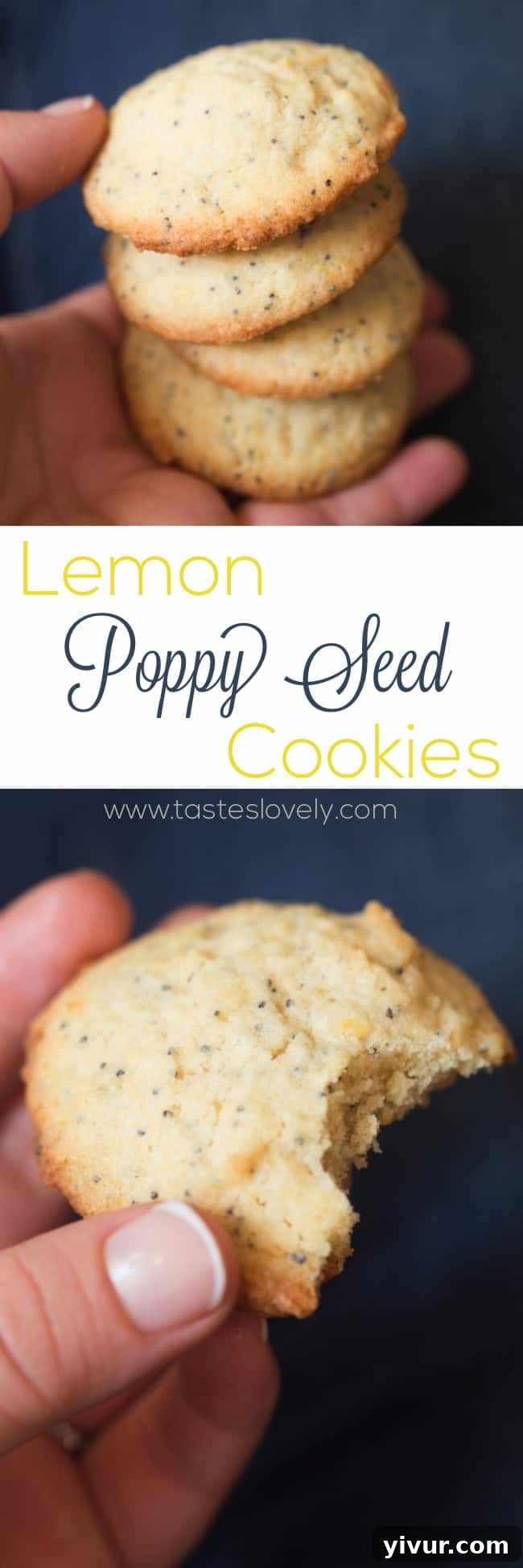 Zesty Lemon Poppy Seed Delights 6 Lemon Poppy Seed Cookies, a light and lemony sweet treat!