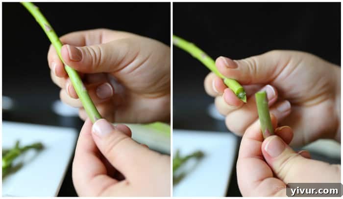 Perfect Grilled Asparagus 5 Close-up of asparagus being snapped to remove woody ends