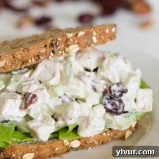 Fall chicken salad with apples, cranberries, and pecans, ideal for autumn.