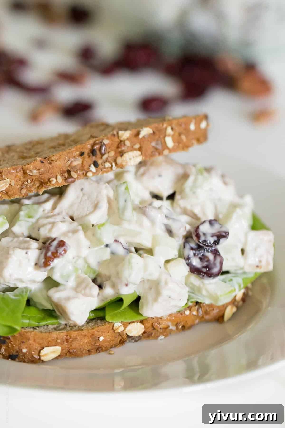 Close-up of a fall chicken salad sandwich on a white plate.