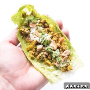 hand holding Curry lettuce wraps with cashews and cilantro