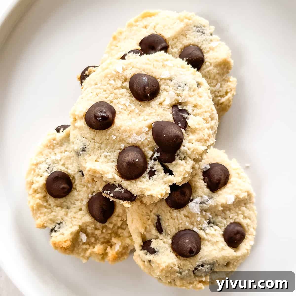 Maple syrup chocolate chip cookies beautifully arranged on a white plate, showcasing their inviting texture and golden-brown edges.