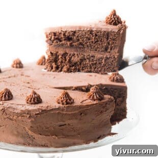 A beautifully frosted keto mint chocolate cake, garnished with fresh mint leaves and chocolate shavings.