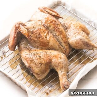 Spatchcock roasted chicken with golden brown skin on a rimmed baking sheet