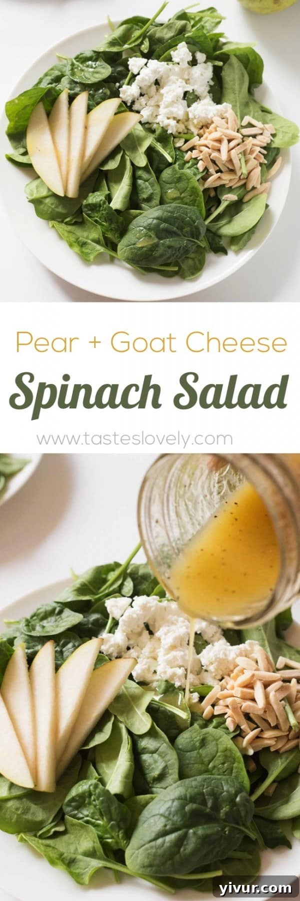 Sweet Pear and Tangy Goat Cheese Spinach Salad 6 A beautifully arranged Pear and Goat Cheese Spinach Salad, showcasing all its fresh ingredients and textures.