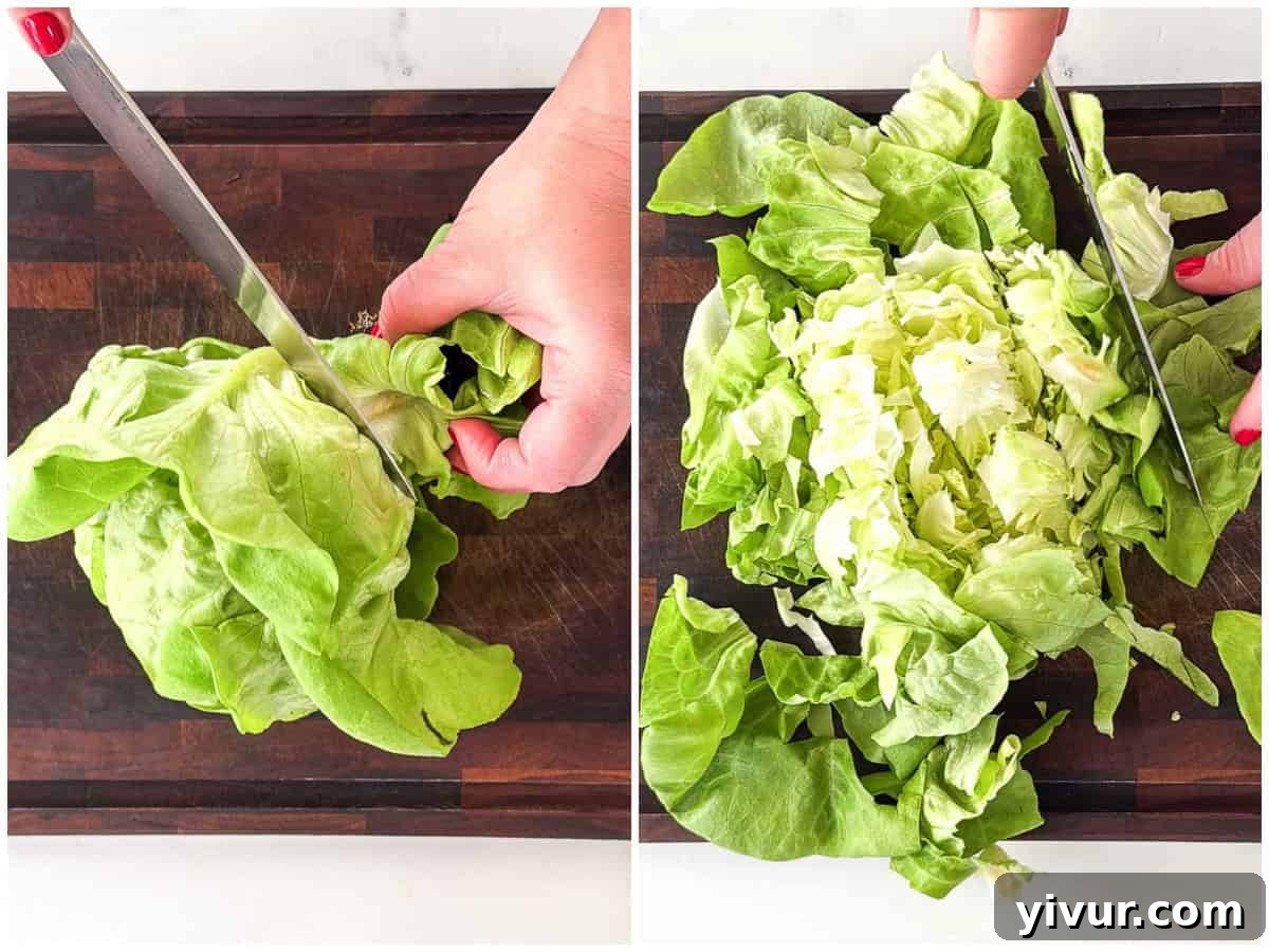 Fresh butter leaf lettuce leaves being chopped into bite-sized pieces, preparing them for the salad base.