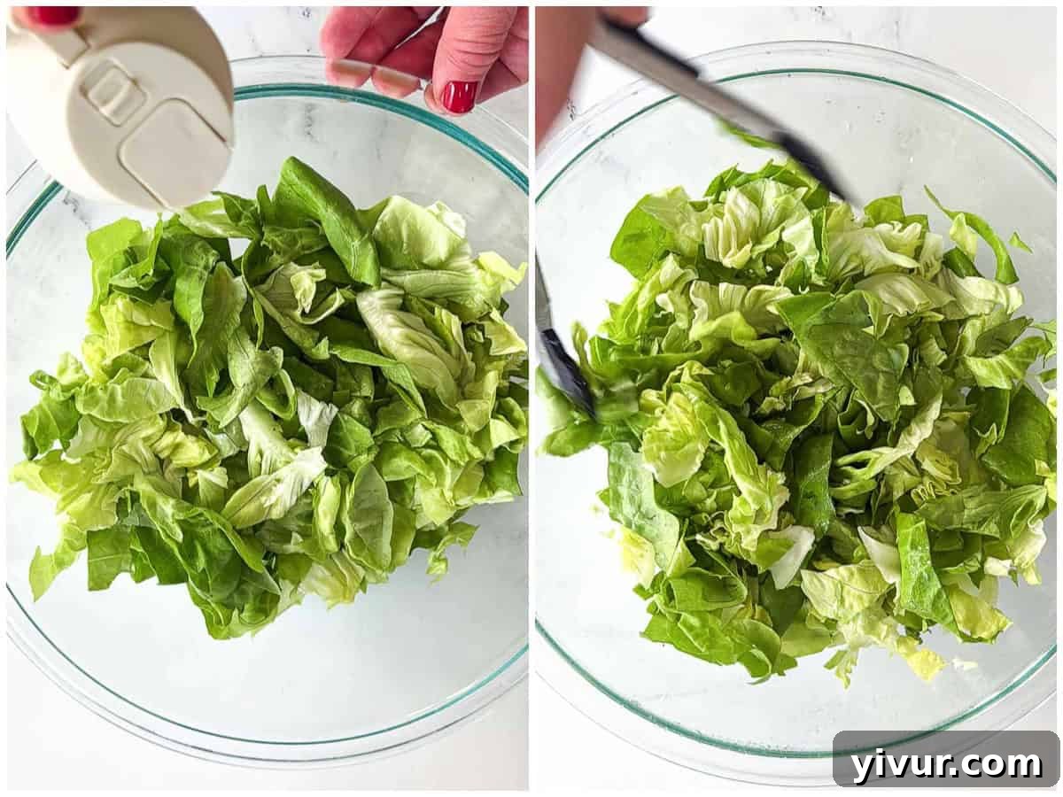 Chopped butter leaf lettuce lightly sprayed with apple cider vinaigrette and gently tossed to distribute the dressing evenly.