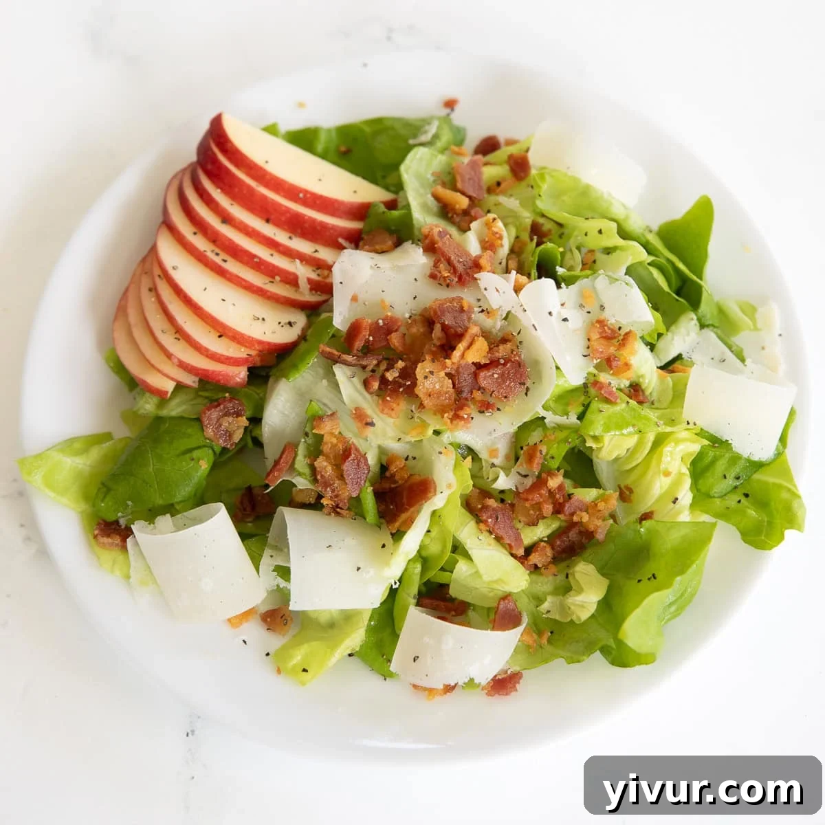 A close-up of the Butter Leaf Lettuce Salad, showcasing the crisp lettuce, golden bacon, red apple slices, and delicate parmesan ribbons, beautifully plated.