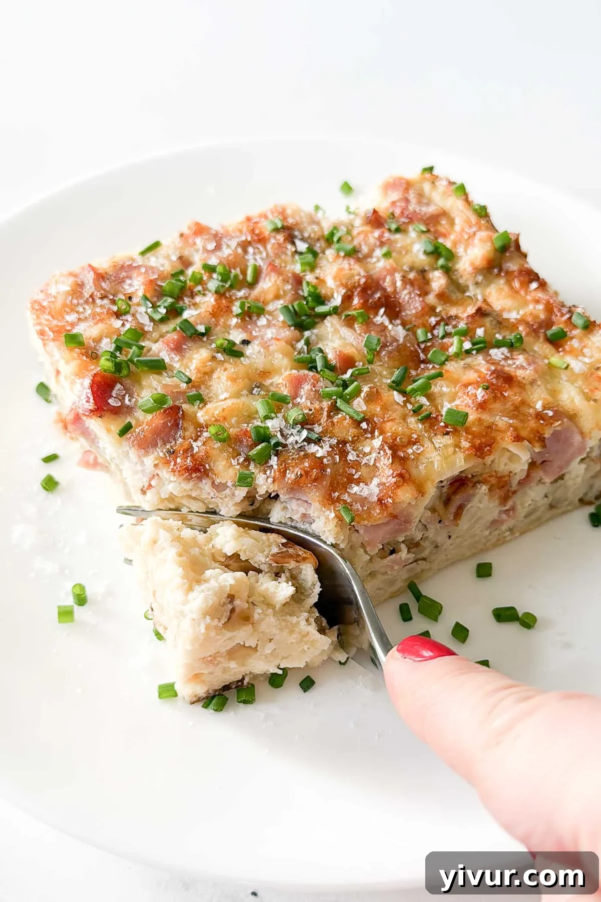 High Protein Ham and Cheese Egg Casserole with Potatoes, freshly baked and golden brown