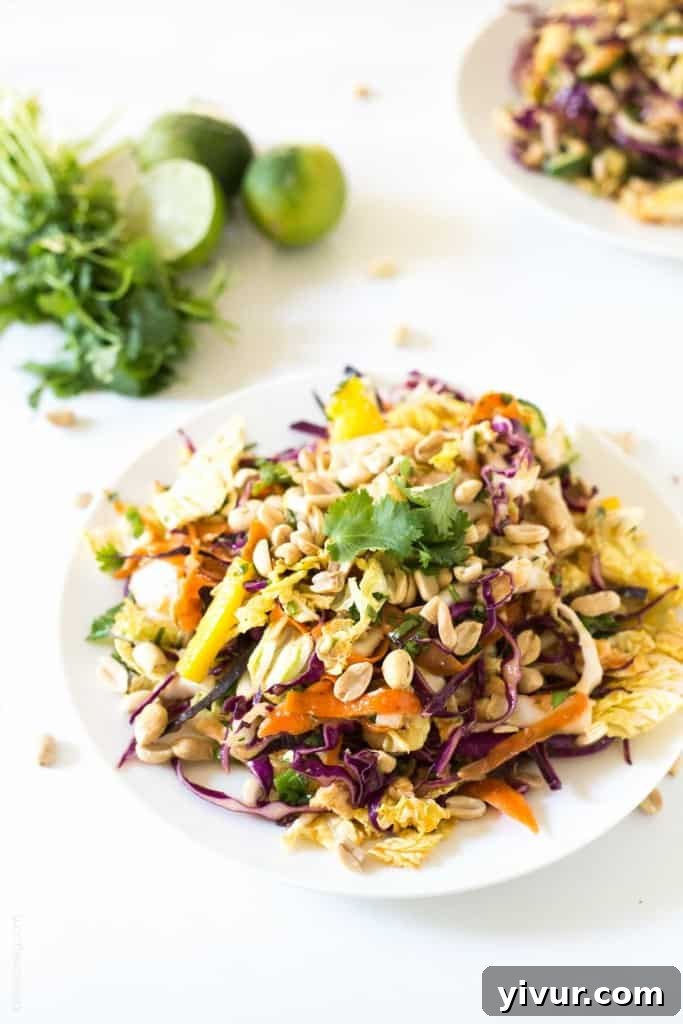 Close-up of the fresh, vibrant ingredients in the Rainbow Chopped Thai Chicken Salad
