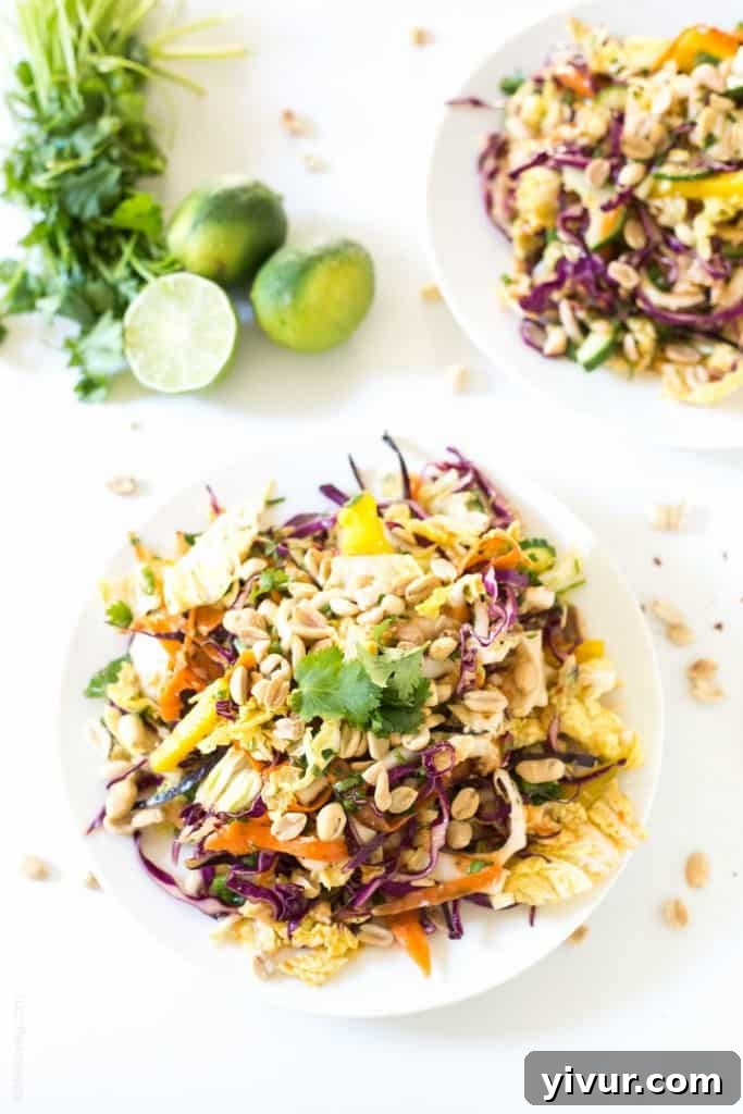Ingredients for the Rainbow Chopped Thai Chicken Salad laid out beautifully