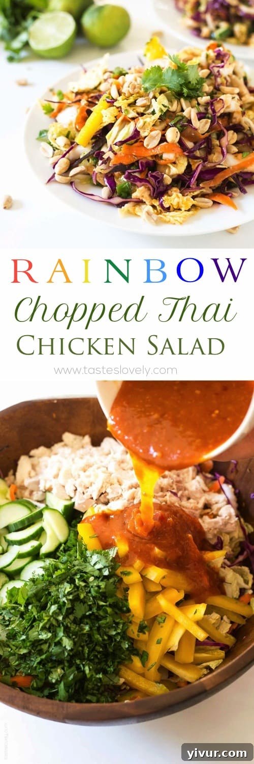 Full overhead shot of the Rainbow Chopped Thai Chicken Salad, highlighting all the ingredients