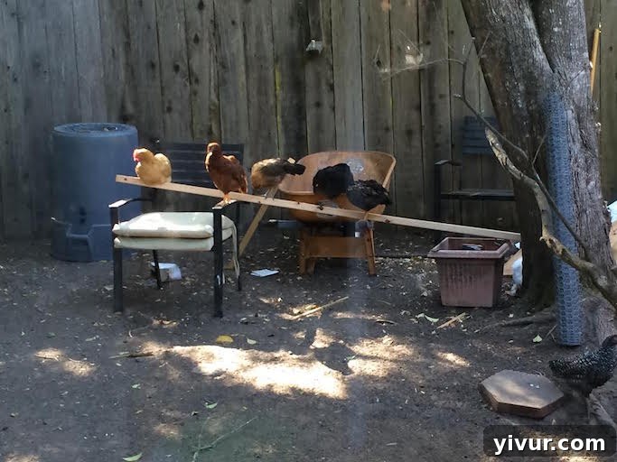 Five Fresh Friday Finds 3 Girls on Wood