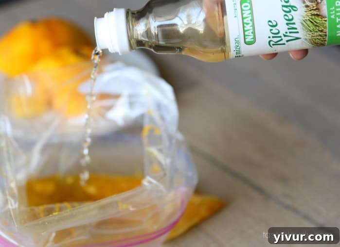 Adding Rice Vinegar to Salmon Marinade