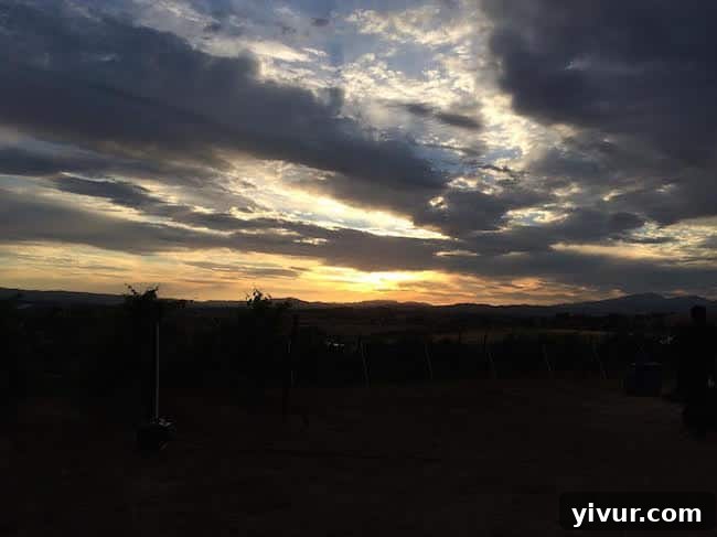 Sunset over the horizon