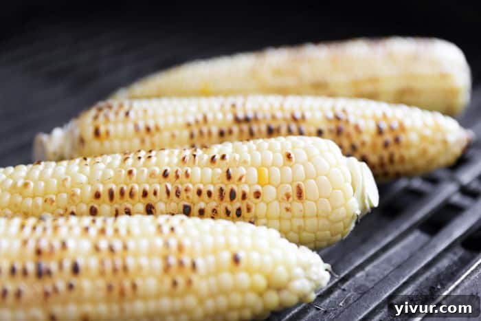 Close-up of perfectly charred corn on the cob