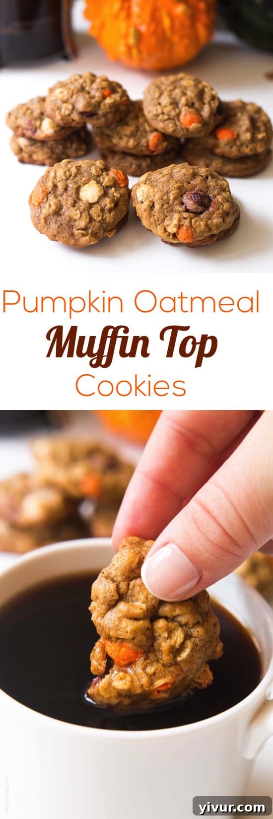 Pumpkin Oatmeal Muffin Top Treats 11 Pumpkin Oatmeal Muffin Top Cookies