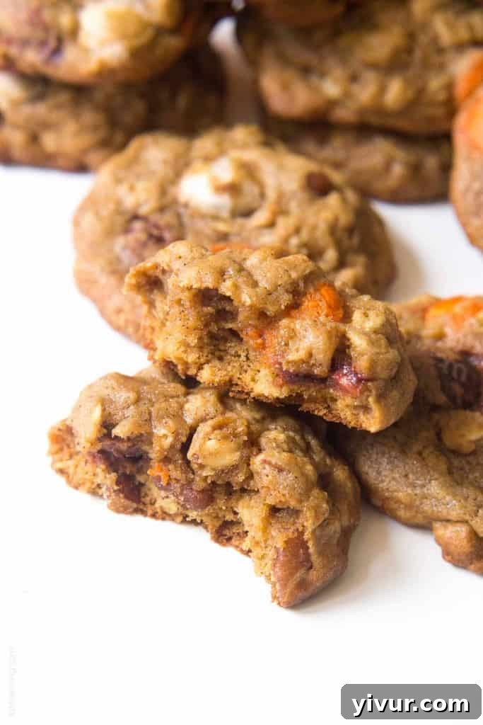 Pumpkin Oatmeal Muffin Top Treats 3 Pumpkin Oatmeal Muffin Top Cookies