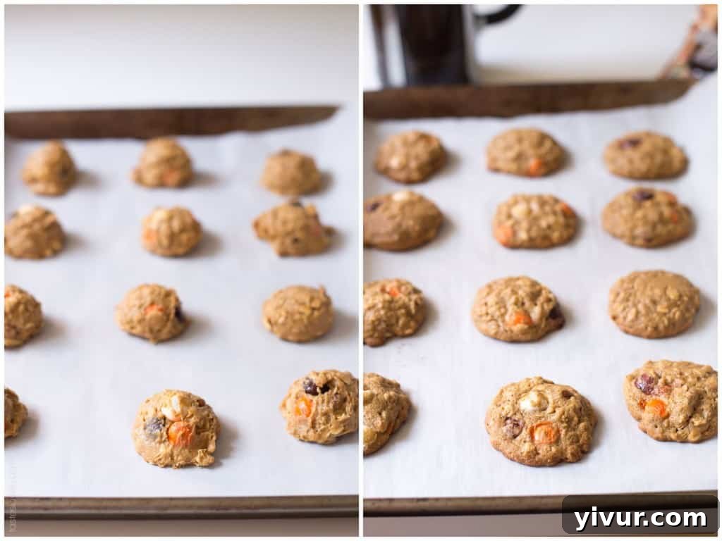Pumpkin Oatmeal Muffin Top Treats 5 Pumpkin Oatmeal Muffin Top Cookies