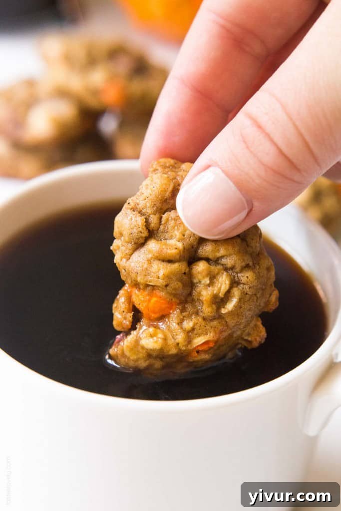 Pumpkin Oatmeal Muffin Top Treats 7 Pumpkin Oatmeal Muffin Top Cookies