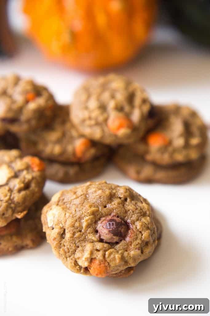 Pumpkin Oatmeal Muffin Top Treats 9 Pumpkin Oatmeal Muffin Top Cookies