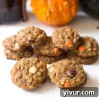 Pumpkin Oatmeal Muffin Top Cookies