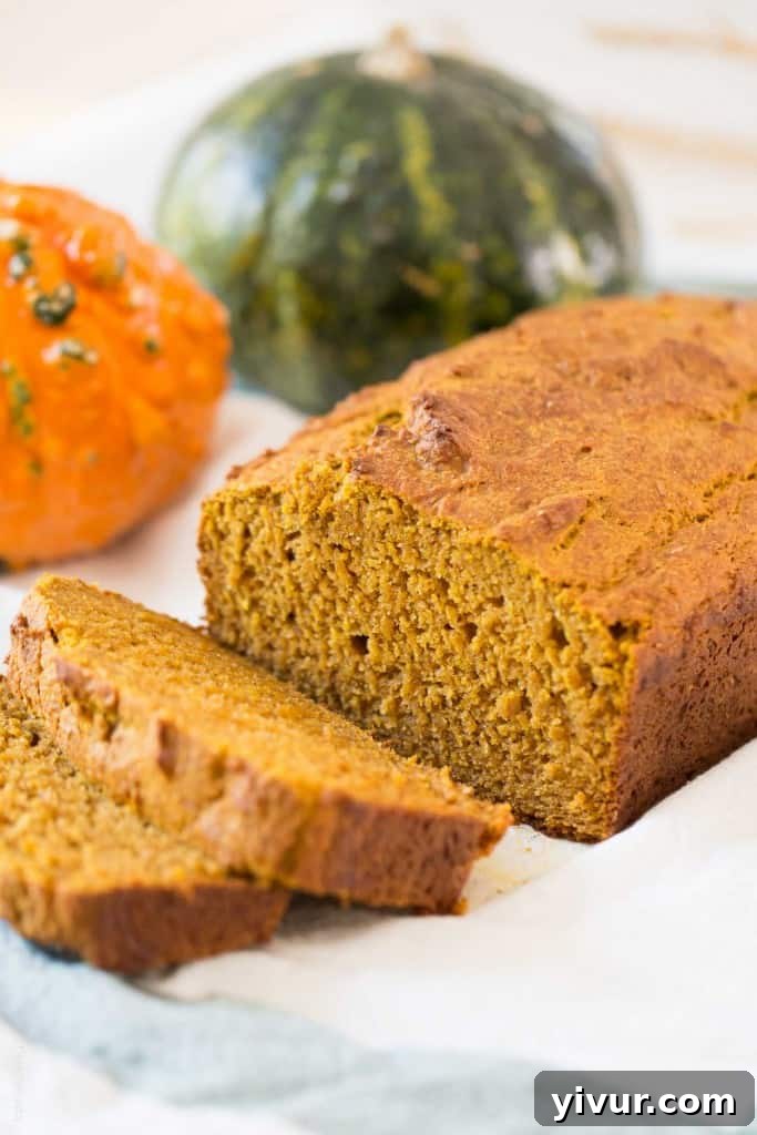 Healthy Pumpkin Bread - the BEST pumpkin bread I've ever had! Made with half the sugar and whole wheat flour
