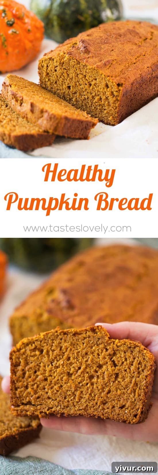 Healthy Pumpkin Bread - the BEST pumpkin bread I've ever had! Made with half the sugar and whole wheat flour