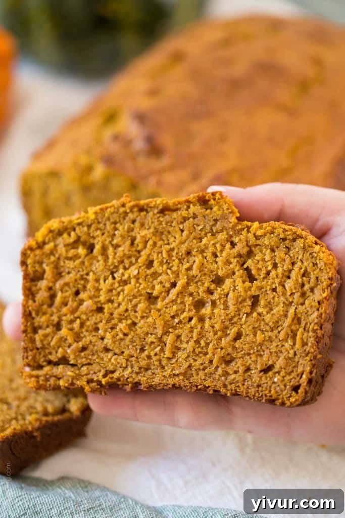 Healthy Pumpkin Bread - the BEST pumpkin Bread I've ever had! Made with half the sugar and whole wheat flour