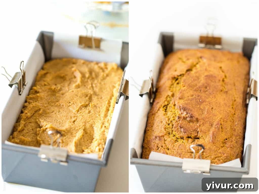 Healthy Pumpkin Bread - the BEST pumpkin bread I've ever had! Made with half the sugar and whole wheat flour