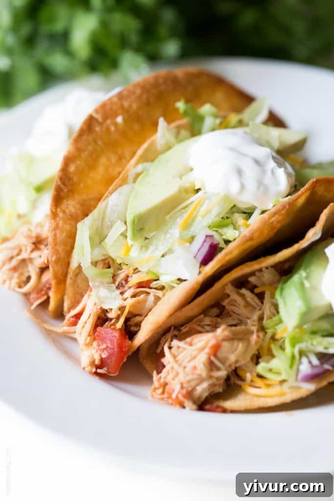 Mouthwatering Slow Cooker Mexican Shredded Chicken Tacos, perfectly juicy and delicious, a gluten-free delight.