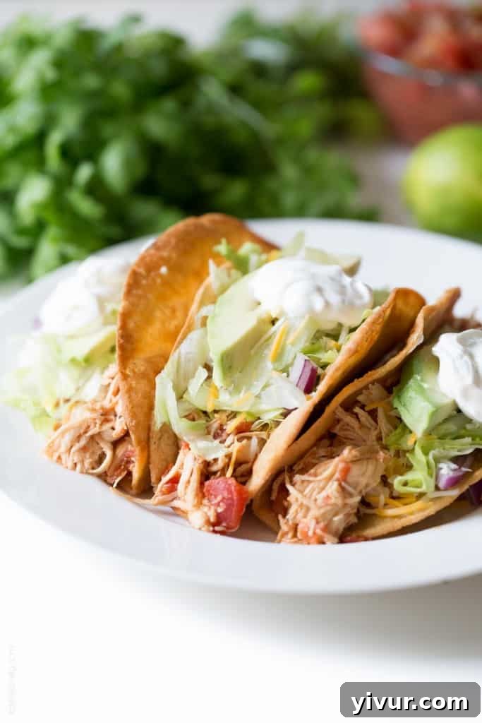 Close-up of a delectable Slow Cooker Mexican Shredded Chicken Taco, showcasing the tender chicken and vibrant toppings, perfect for a gluten-free diet.