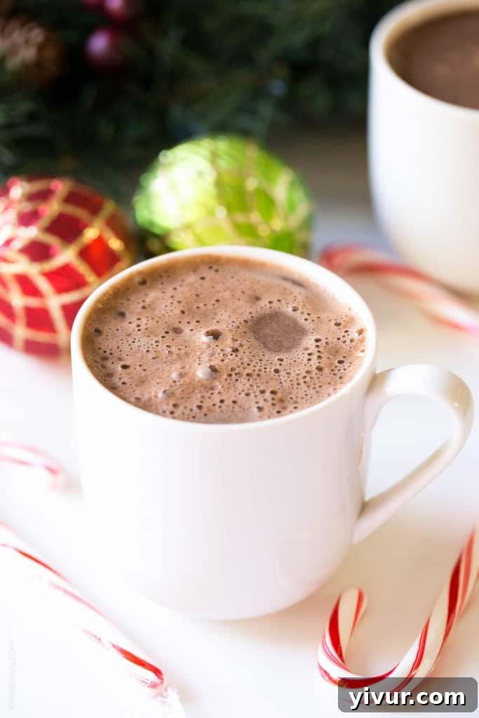 Ingredients for dairy-free hot chocolate laid out: almond milk, chocolate chips, cocoa powder, sugar, extracts, mug, and coconut cream.