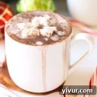 Dairy Free Hot Chocolate with Coconut Whipped Cream