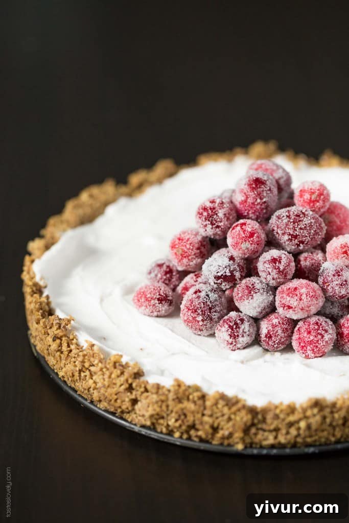 Velvet Coconut Tart with Jeweled Cranberries 2 Delicious Dairy-Free Coconut Cream Tart topped with glistening Sugared Cranberries