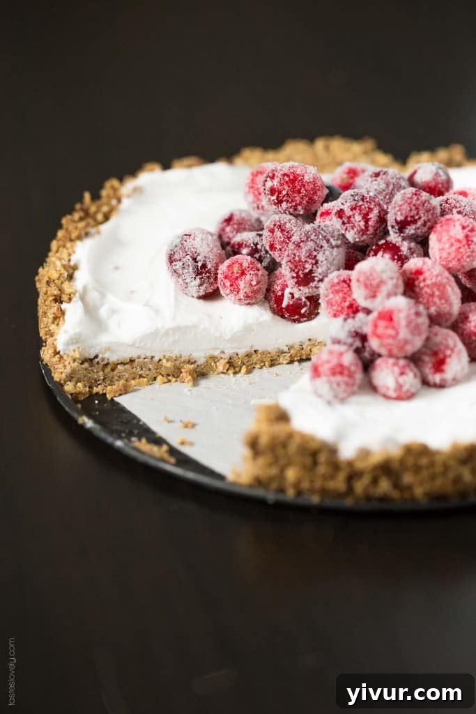 Velvet Coconut Tart with Jeweled Cranberries 3 Close-up of the vegan Coconut Cream Tart with a beautifully crafted almond and coconut crust