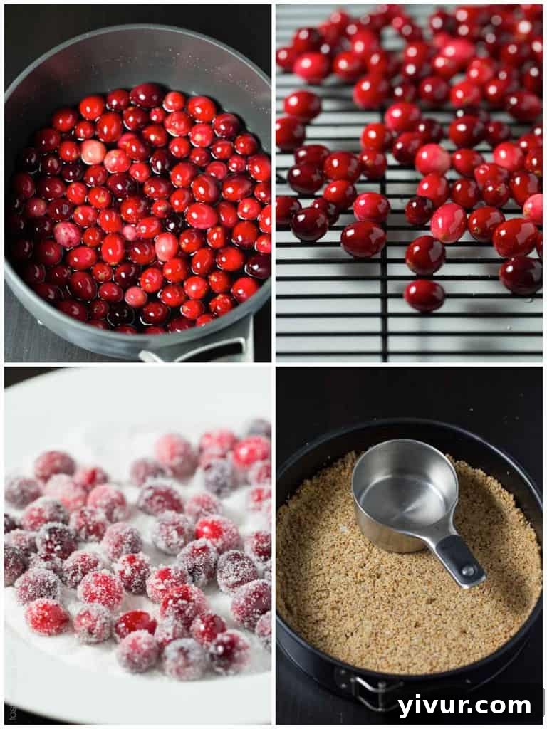 Velvet Coconut Tart with Jeweled Cranberries 4 Side view of a slice of healthy Coconut Cream Tart showing layers of crust and cream