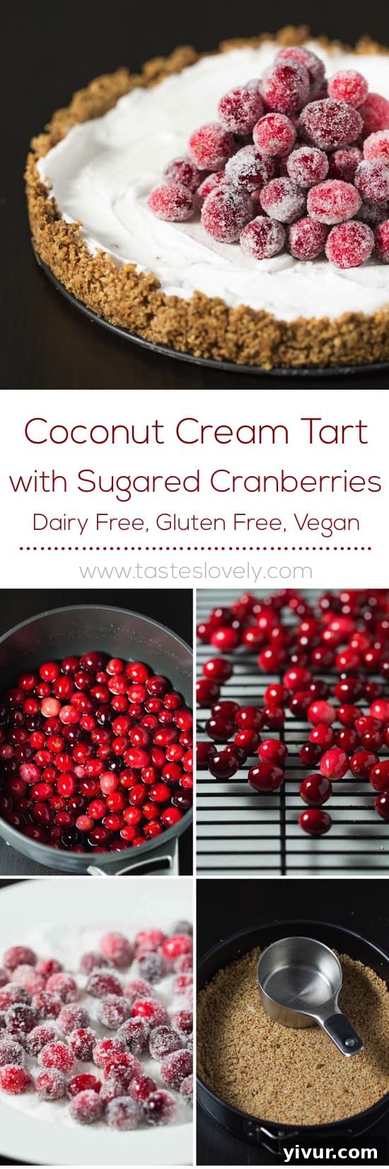 Velvet Coconut Tart with Jeweled Cranberries 8 Tall slice of Coconut Cream Tart with a beautiful display of sugared cranberries