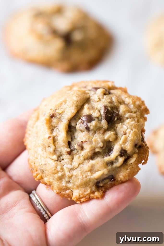 Dairy Free Lactation Cookies made with Coconut Oil. Delicious, and increases your milk supply when breastfeeding!