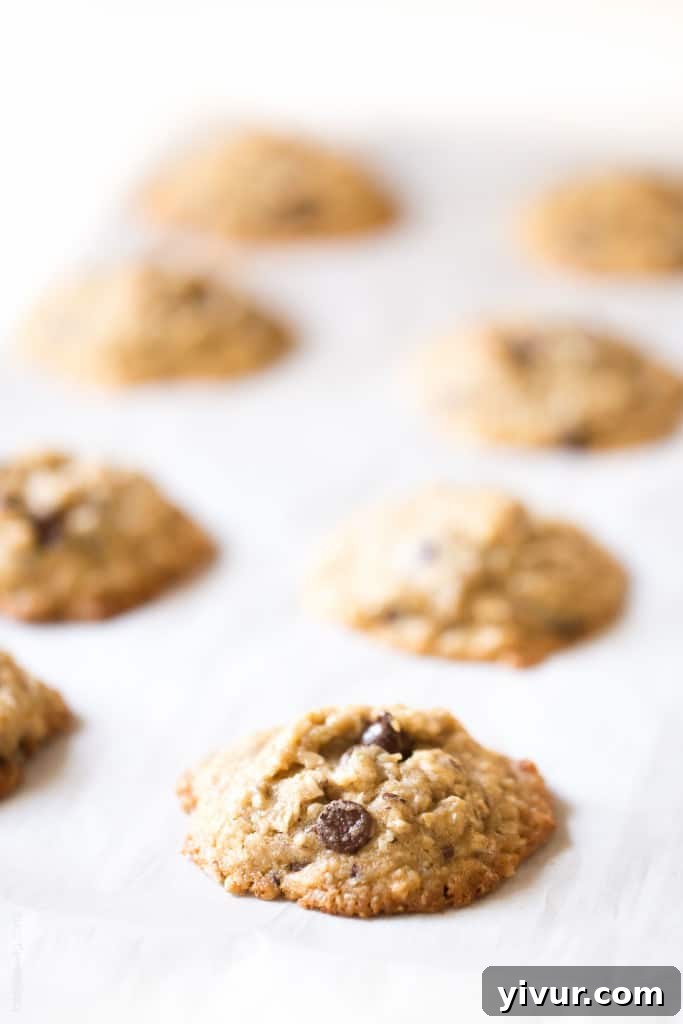 Dairy Free Lactation Cookies made with Coconut Oil. Delicious, and increases your milk supply when breastfeeding!