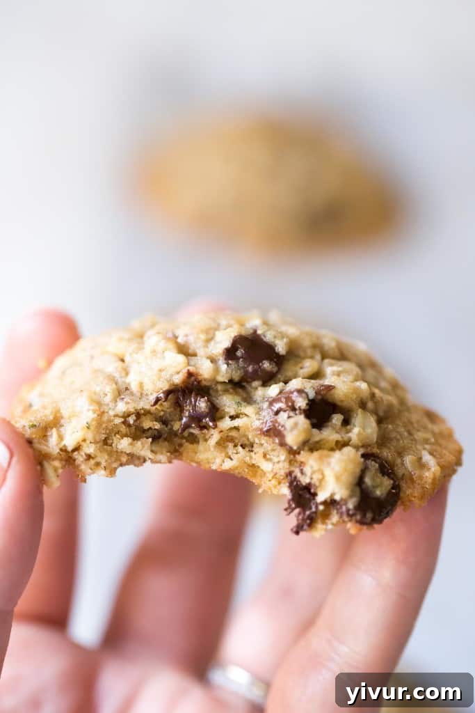 Dairy Free Lactation Cookies made with Coconut Oil. Delicious, and increases your milk supply when breastfeeding!