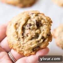 Dairy-Free Lactation Cookies