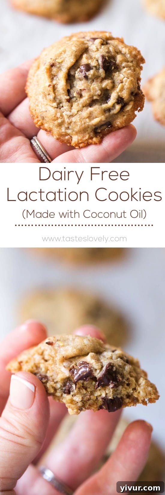 Dairy Free Lactation Cookies made with Coconut Oil. Delicious, and increases your milk supply when breastfeeding!