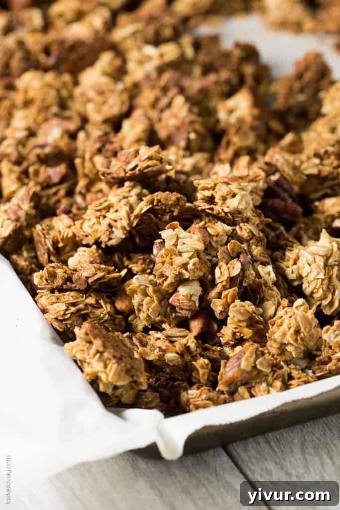 A close-up of the chunky Nutty Coconut Oil Cluster Granola, showing the crisp texture and varied ingredients.