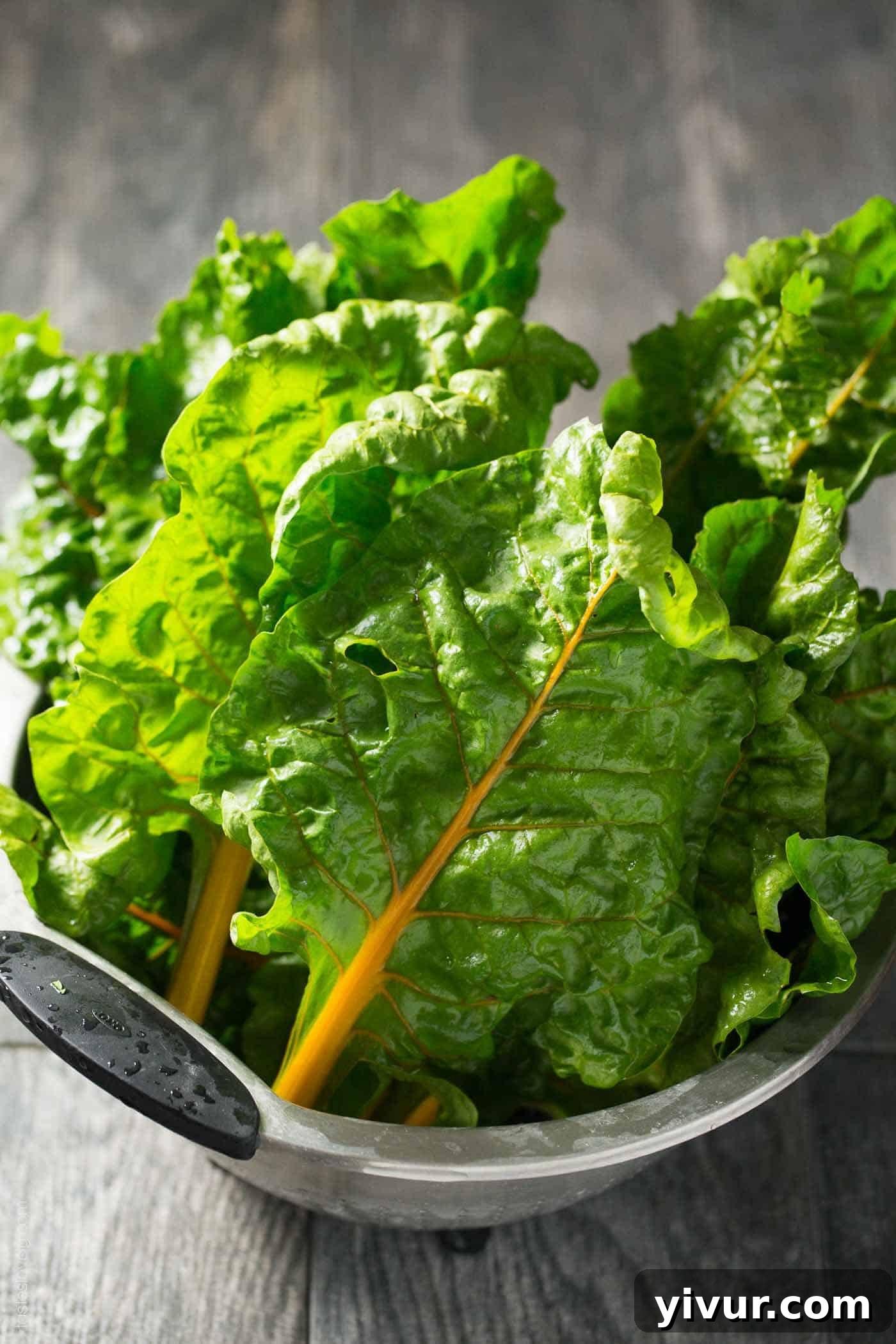 Vibrant Sautéed Rainbow Chard 3 Orange Braised Rainbow Chard (paleo, vegan, gluten free, whole 30)