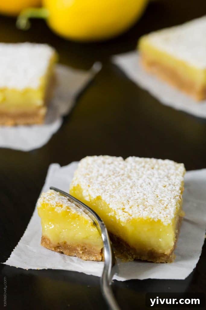 Coconut Oil Meyer Lemon Bars - a healthier dairy free lemon bar with a graham cracker crust