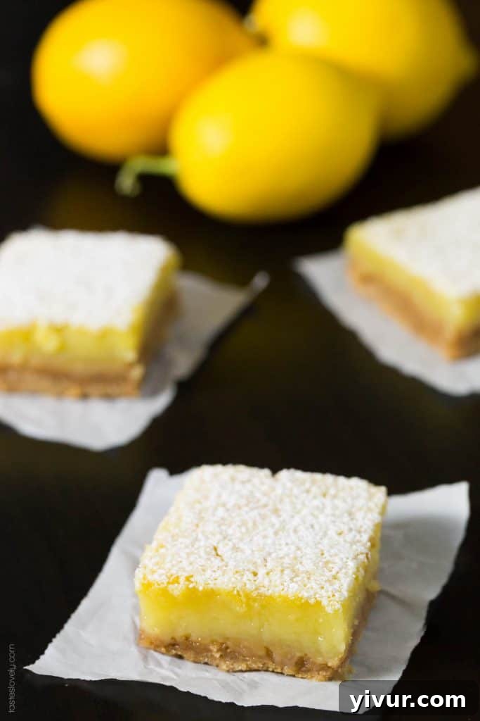 Coconut Oil Meyer Lemon Bars - a healthier dairy free lemon bar with a graham cracker crust